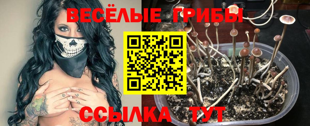 Галлюциногенные грибы мухоморы Щёлково