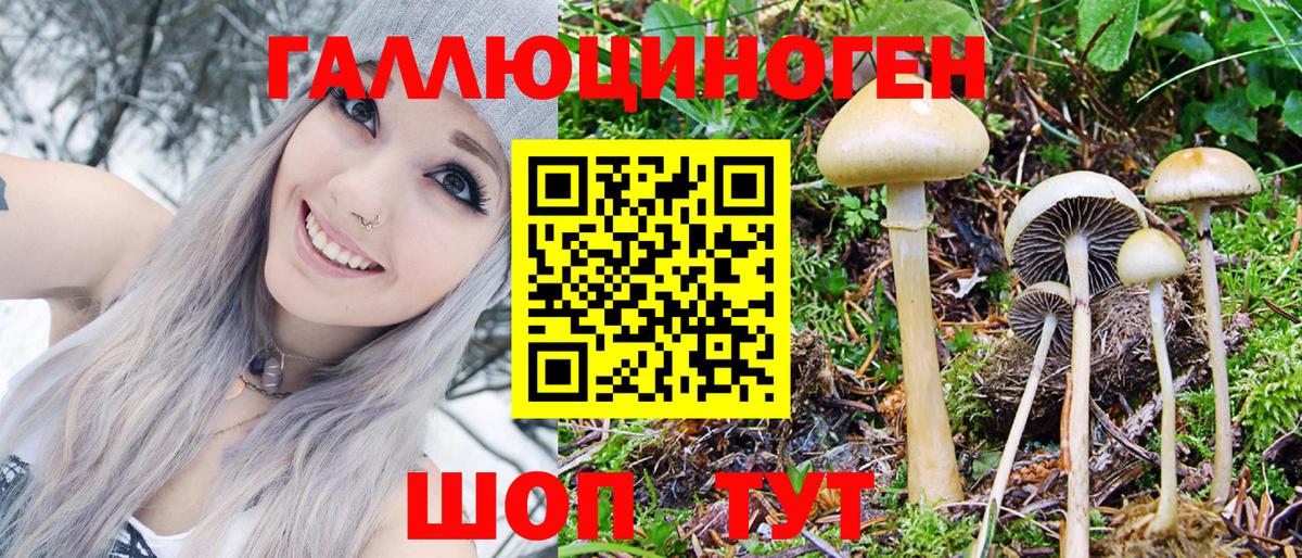 Псилоцибиновые грибы Psilocybine cubensis  Вход с VPN  Щёлково 